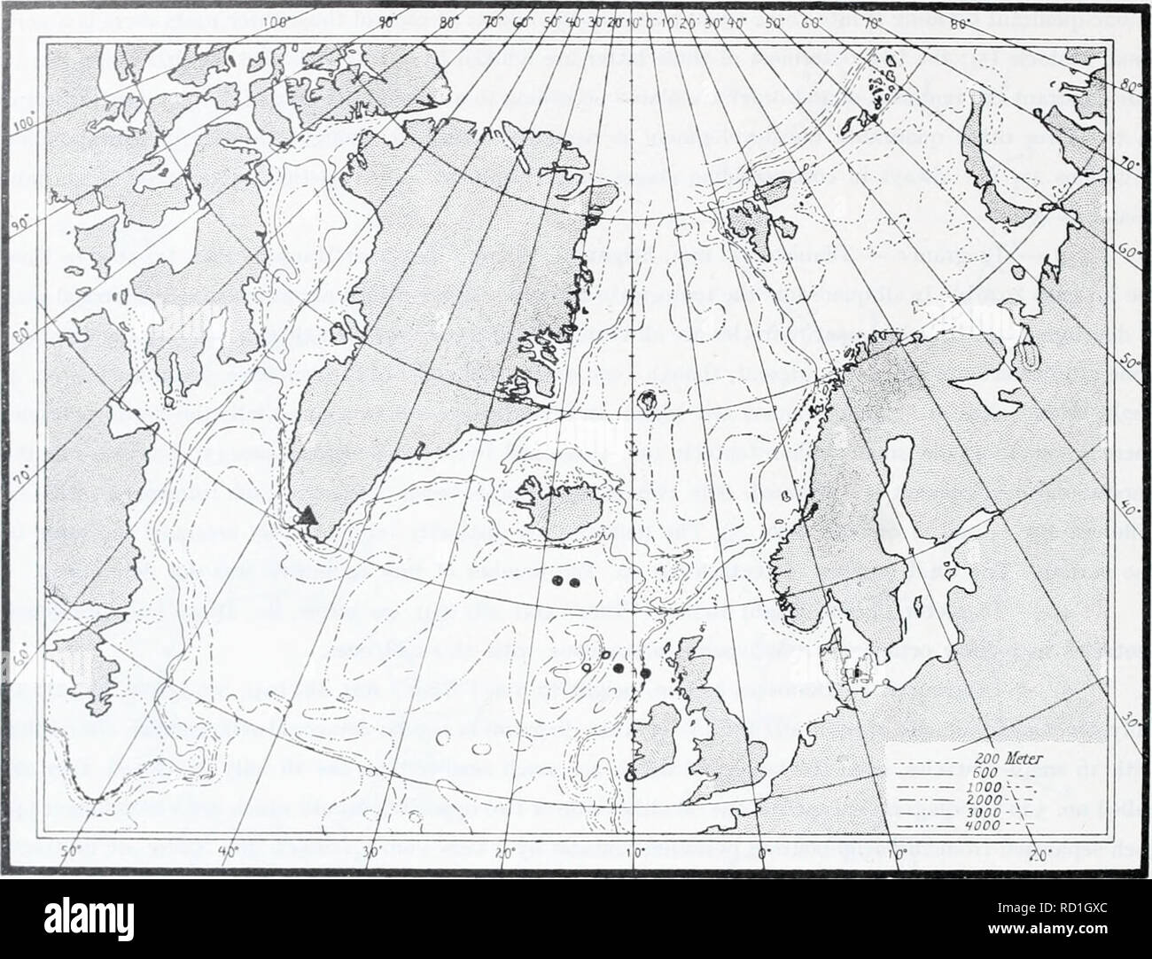 . L'Ingolf danois-expédition. Les animaux marins -- les régions de l'Arctique ; les expéditions scientifiques ; les régions de l'Arctique. 86 MEDUS.E. II.. Graphique X'I. Lcuckartiara • trouve de nobilis Hartlaub. O Uccurreiice dans l'Atlantique Nord en fonction de la littérature ? Catablema mullicirrala Kishinouvc d'occurrence dans l'Atlantique Nord. deux quadrants, deux de l'eadi dans deux otlK-rs. Le nombre et la disposition des tentacules de jeunes ne peut pas être déterminé. Il ressort de ce qui précède que le dcveh pnient mode d)de tentacules dans Lcuckartiara^ nobilis est octogonale parfois, parfois duodecimal, les deux cas, à peu près aussi fr Banque D'Images