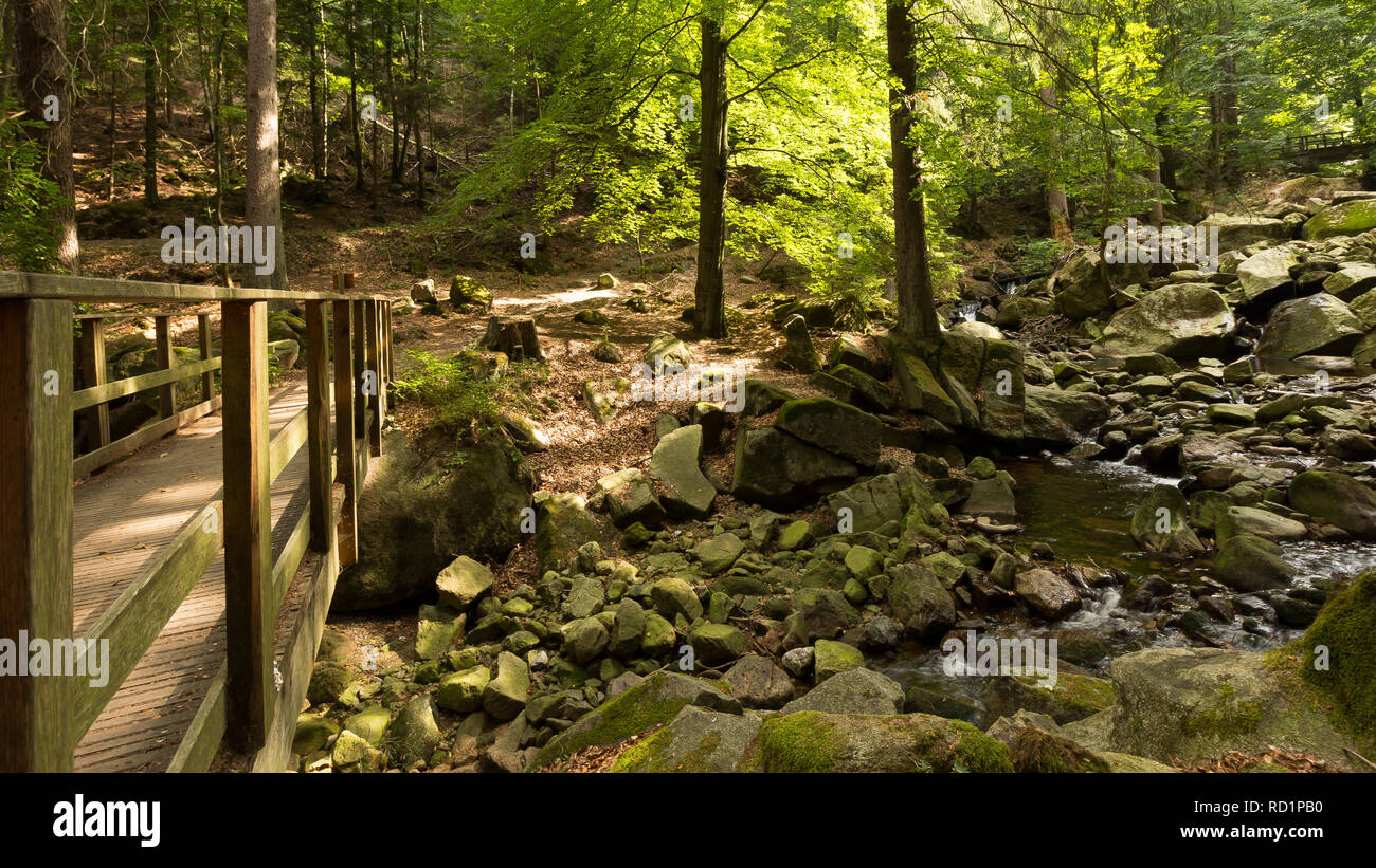 Pont sur un ruisseau, bois, résine, Saxe-Anhalt, Allemagne Banque D'Images