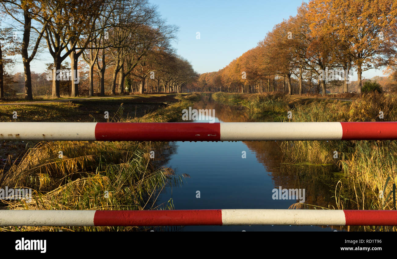 Canal bordées, Tilligte, Overijssel, Pays-Bas Banque D'Images