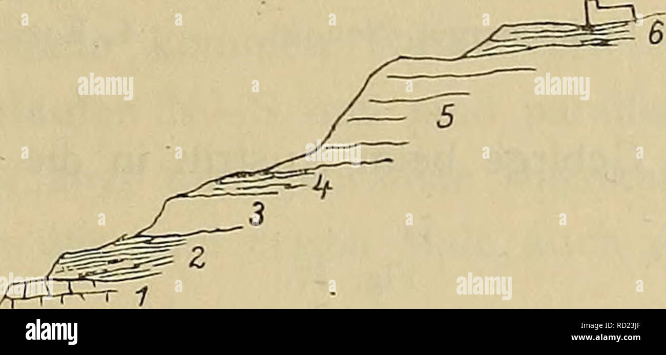 . Denkschriften - Ãsterreichische Akademie der Wissenschaften. 1. Sandstein, un weiÃen Gesteinen der Lage von. 3. Sandsteine» 2. Kalke â Zenomankalk ? 4. Quarzit Turon. Die von Gipfelquarzite fÃ¼hren al Batra kleine Einschaltungen¤ndern BÃ von¶tlichweiÃ getupften rÃ von Kalkes Sandsteines von und mit Resten Fischen und Knochen. Dans den Quarziten Bivalven finden sich auch. 3. Von al Batra bis al-'Aqaba. Von al Batra steigen wir gegen DelÃ 2004-2005 ra hinunter und den Steilabfall SÃ¼dwesten verqueren gegen. Wir kommen die von der Unterlage dans al-Batra-Gesteine erreichen und beim Brunnen burqa das Zeno Banque D'Images