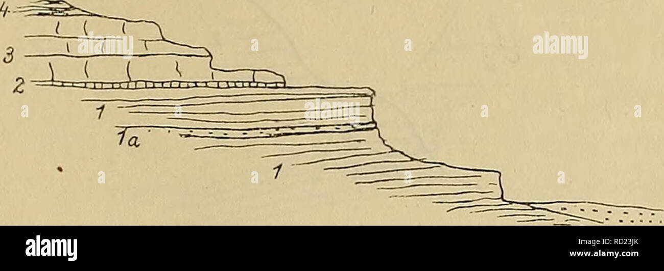. Denkschriften - Ãsterreichische Akademie der Wissenschaften. Dans Vorderasien Geologische Forschungen, IL Teil. Der Absturz gegen SÃ¼den groÃen zeigt im Profil : il faut 789 Fig. 12.. 1. Sandstein, un weiÃen Gesteinen der Lage von. 3. Sandsteine» 2. Kalke â Zenomankalk ? 4. Quarzit Turon. Die von Gipfelquarzite fÃ¼hren al Batra kleine Einschaltungen¤ndern BÃ von¶tlichweiÃ getupften rÃ von Kalkes Sandsteines von und mit Resten Fischen und Knochen. Dans den Quarziten Bivalven finden sich auch. 3. Von al Batra bis al-'Aqaba. Von al Batra steigen wir gegen DelÃ 2004-2005 ra hinunter verqueren und den Steil Banque D'Images