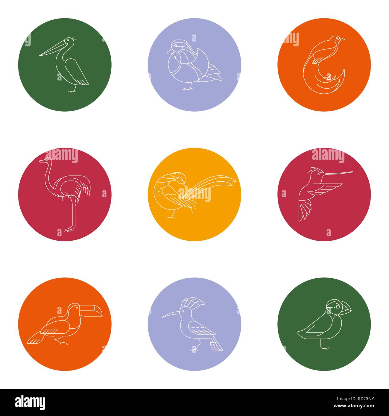 Les oiseaux sont des espèces différentes. Icon Set linéaire. Peut être utilisé pour le logo, print, web site Illustration de Vecteur