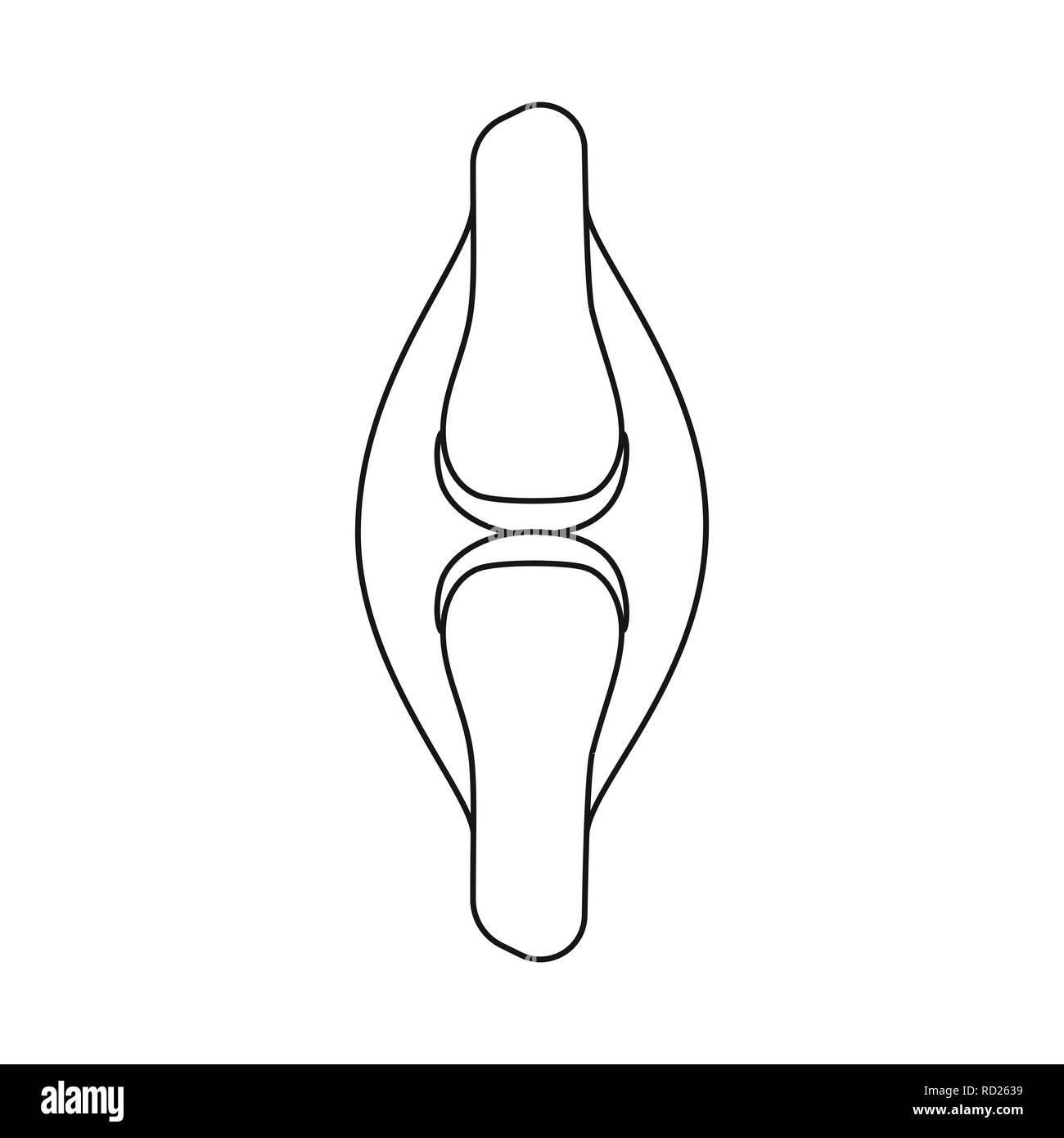 Tendon du muscle, os, moelle osseuse,,joints,mouvement,cartilage ligament,dommage,anatomie,organe interne,,médical,des,santé,biologie,scientifique,recherche,,laboratoire,set,icône,,illustration,collection,isolé,design,graphisme,élément,signer,ligne,contour, vecteurs vecteur , Illustration de Vecteur