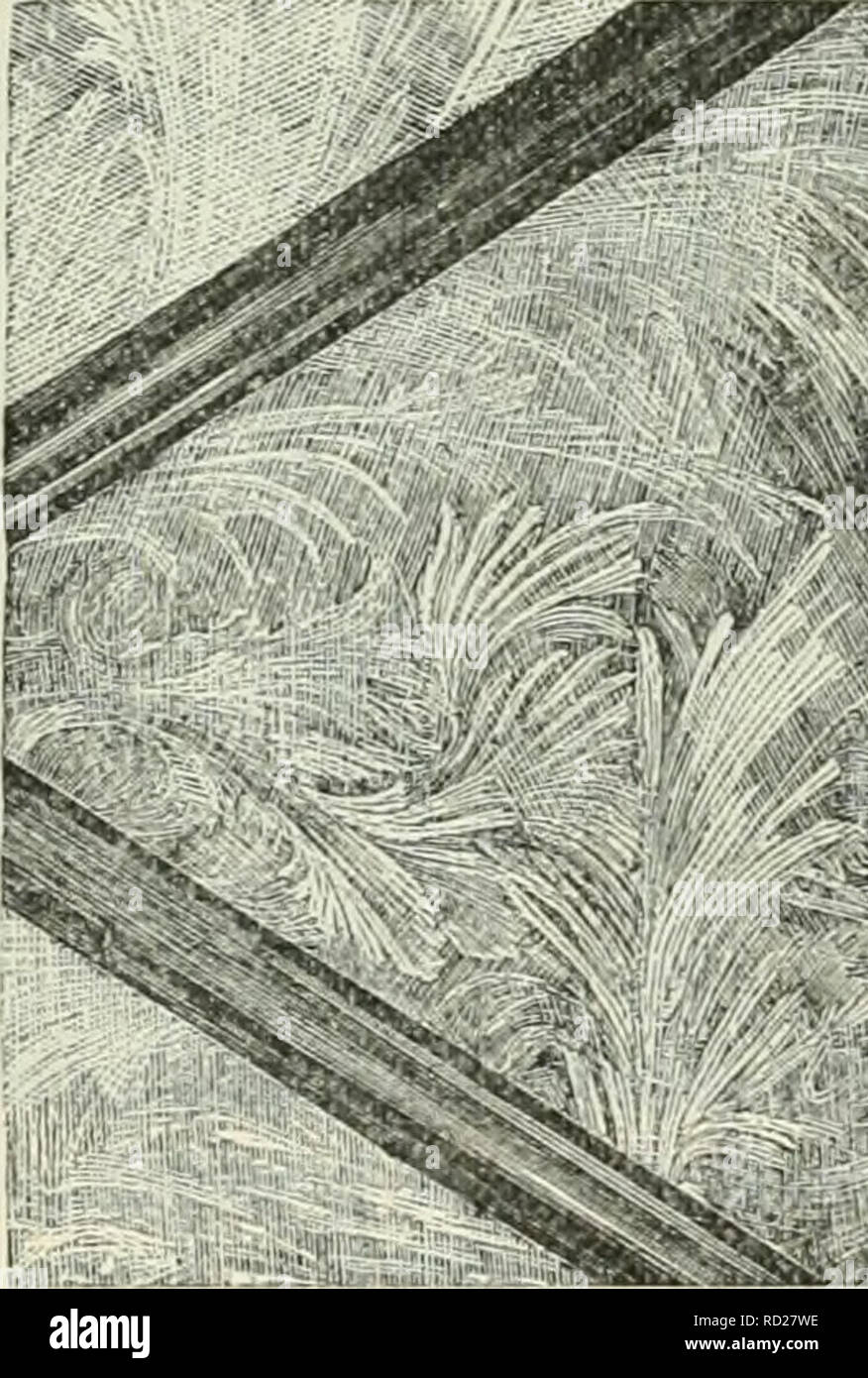 . Physique et chimie élémentaire : deuxième étape. La science. 26 ÉCOLES ÉLÉMENTAIRES DE LA PHYSIQUE ET DE LA CHIMIE. Mais quelle que forme la vapeur d'eau suppose que lorsqu'il devient visible, un fait reste toujours le même. Visible le brouillard, nuages, pluie, ou autre forme dans laquelle la vapeur est convertie est toujours le résultat de la condensation provoquée par le refroidissement. Ce refroidissement peut être produit par plusieurs causes. Par exemple, l'air contenant de la vapeur d'eau invisible peut devenir plus froid en entrant en contact avec un second corps d'air plus froid, ou avec la surface d'une masse froide de la terre, ou par un coup de plus. L'air, Banque D'Images