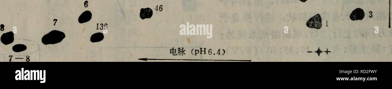 . Dan bai zhi shun xu fen xi ji shu. botanique. Kroměříž11-5bae-£å''äººè¡çº èç½ É¾ç'|8è° èç½é« ·é'è§ åçaeçº¹å¾ aeç Å¾éå'£''¨¯éç ç ä'¹Åå Aeè²ï¼å¯é ®¥Å"aeTrp, Arg, Son. Tyr. Rencontré çè¤åå"éç¨ç¹ae Aeè²ae³aeè²ã¡¨è®å®éªè çµ 11-9 ae³³ çµåï¼V± å æ pH) åé" åï¼ Å¹³è(å°¡¡ï¼å åï¼°gae(å° åï¼ Lchmann. H["] Ingram c. M[" Clegg J. B[''] ae¾aeº¢æ"ç-ã"1 ç²¤aeç-±æ"ã çè·ç ¢§ç- 6,4 6,4 6,4 6,4 6,5 6,4 2 500 1 000 33Â50V/cm 2 800 1 ,000â1 500 2 500 1 2,5 2 2â33 1.5 1 20â24 8 15 14 18 18 ^0 3 1 è. Veuillez noter que ces images sont extraites de la page numérisée des images qui peuvent avoir été retouchées numériquement pour plus de lisibilité -. Banque D'Images