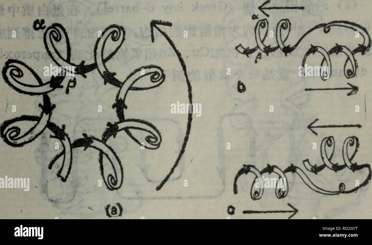 Dan Bai Zhi Jie De Gou Yu Gong Neng Botanique Olysln I Ae Cec A La Papaine Ea Aeº Ea Sans I A C 6 12 0 Ca E 2a 3a Parallele 3 Domaines Ec E E Ae Aea A Ca C I A Aee C A Ec E I A A Aea E Aee C Ci Aeae Acp Aee Ci ee