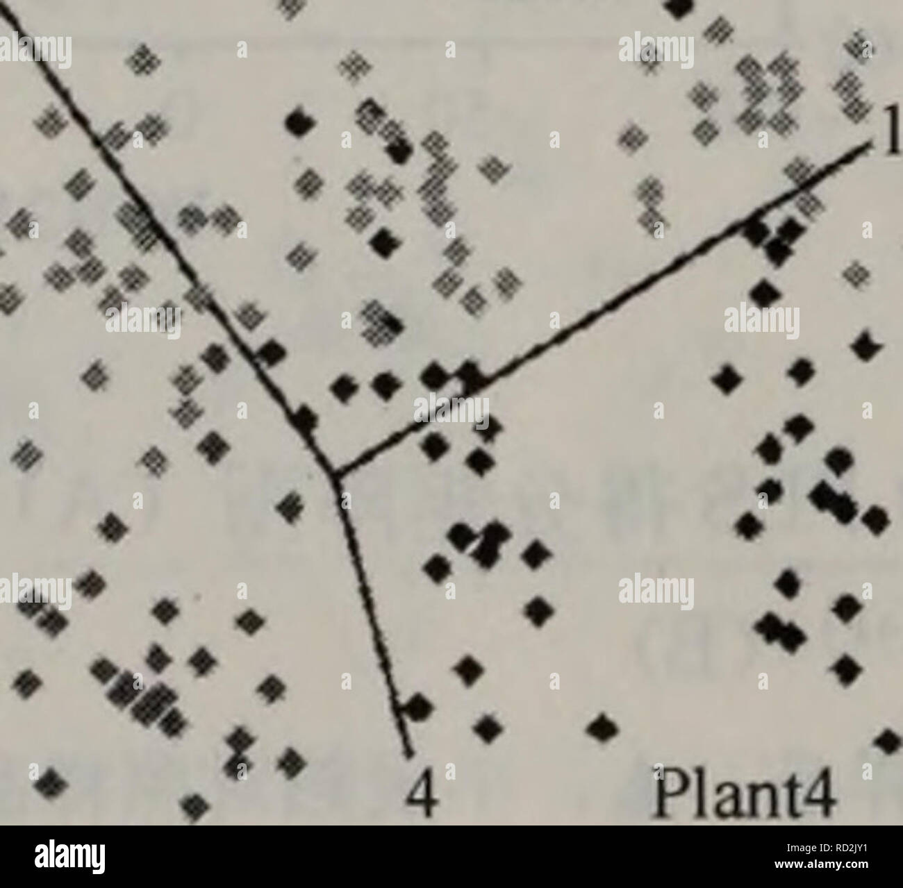 . Dai xie zu xue fang fa yu ying yong. botanique. É de Kroměříž14-13§ç®åå å-¶¨åGC MSè-é°±å¾à42]  +ä"£è¡¨ä" äºåç¨å å-¨» åaeçä®é£è°¢ç©ãf:aeç³ï¼g èç³ï¼S:è¡¶åº ç³: ; æ£å-ç³ ; å æ P2L2 Les Plantes Plantes2. Usine 1 P3L1 P3L2 P2L1. Veuillez noter que ces images sont extraites de la page numérisée des images qui peuvent avoir été retouchées numériquement pour plus de lisibilité - coloration et l'aspect de ces illustrations ne peut pas parfaitement ressembler à l'œuvre originale.. xu guo wang deng. ke xue chu ban elle Banque D'Images