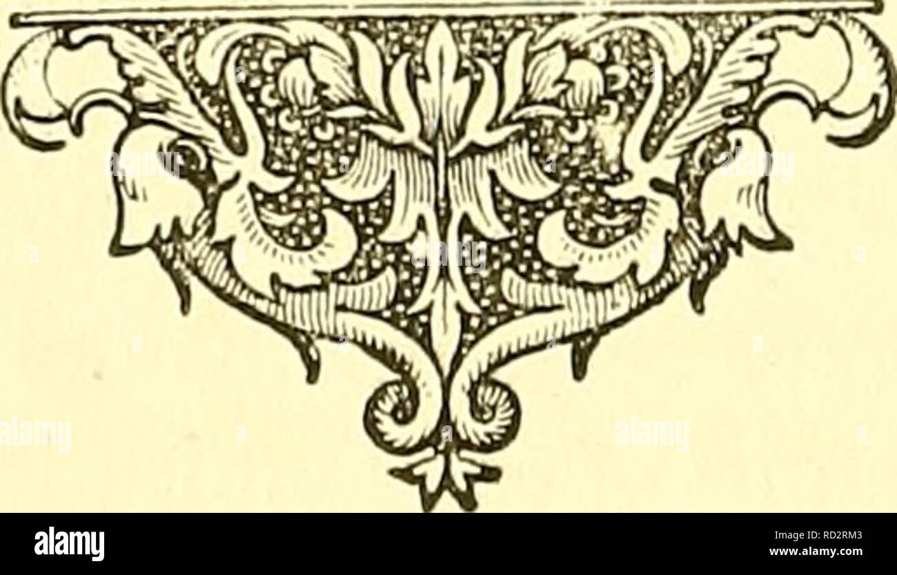 Dadds Théorie Et Pratique De La Médecine Vétérinaire Et De - 