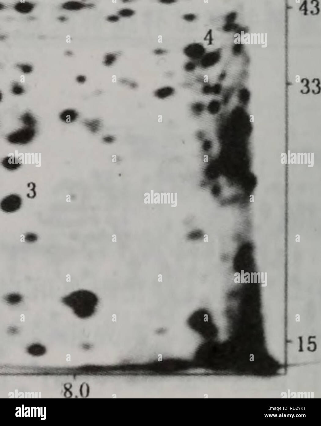 Dan Bai Zhi Jie Gou Fen Xi Zhi Jian Bei Ding Yu Wei Liang Ce Xu Botanique J 1 A Eº 2615 Kromeriz Pl13 3a E Eec E Ae C Ee Aº Er Dea E