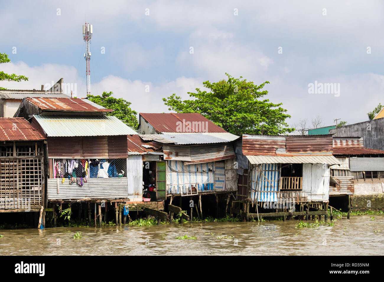 Cabane en tôle vietnamien typique des maisons sur pilotis au bord de la rivière Hau. Can Tho, Delta du Mékong, Vietnam, Asie Banque D'Images
