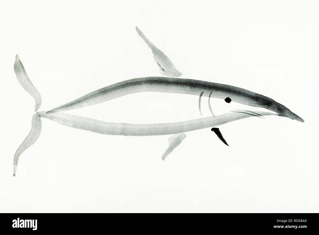 La formation en dessin sumi-e (suibokuga) with style - shark est dessiné à la main sur papier crème Banque D'Images