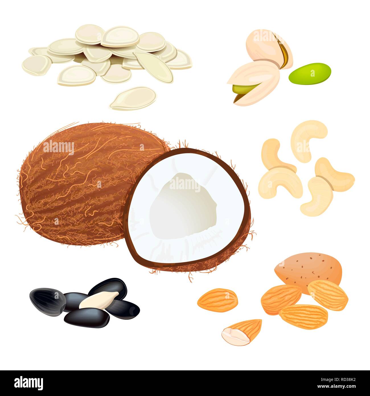 Vector icons Set noix et graines. graines de citrouille, graines de tournesol. La pistache, noix de cajou, noix de coco, d'amande. Vector Illustration Illustration de Vecteur