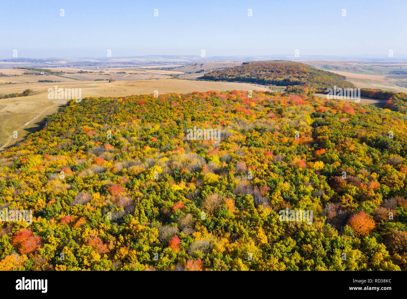 Vue aérienne de la forêt d'or idyllique, paysage rural Banque D'Images