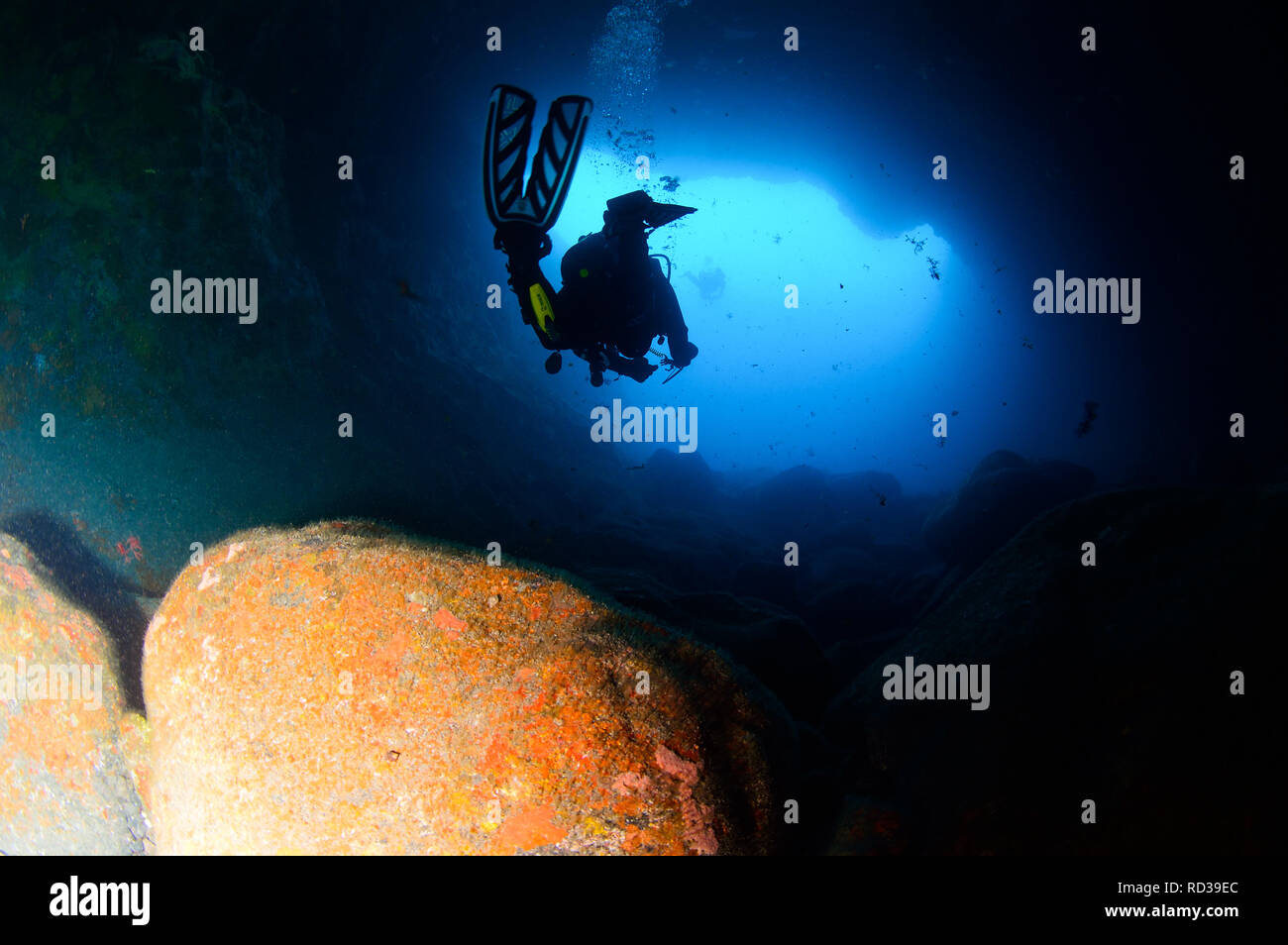 La plongée dans des cavernes à Tenerife - Îles Canaries Banque D'Images
