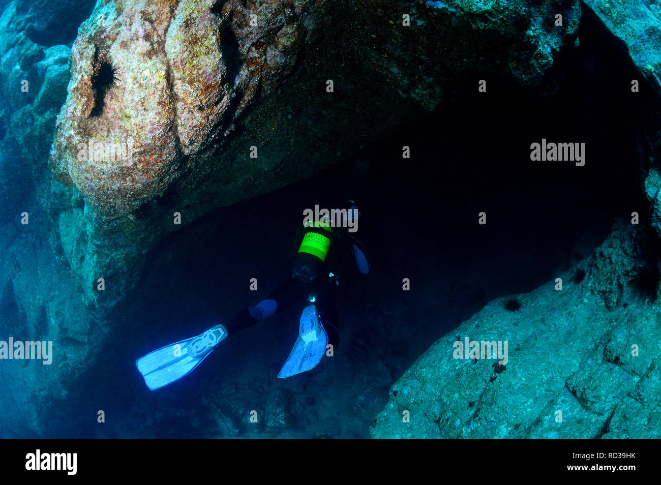 La plongée dans des cavernes à Tenerife - Îles Canaries Banque D'Images