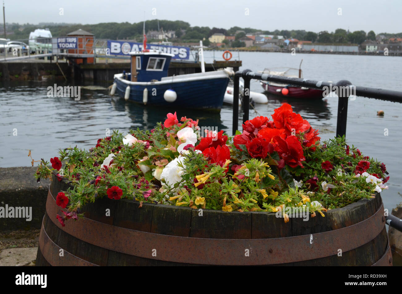 Bateaux amarrés à Berwick upon Tweed, une ville anglaise dans le comté de Northumberland Banque D'Images