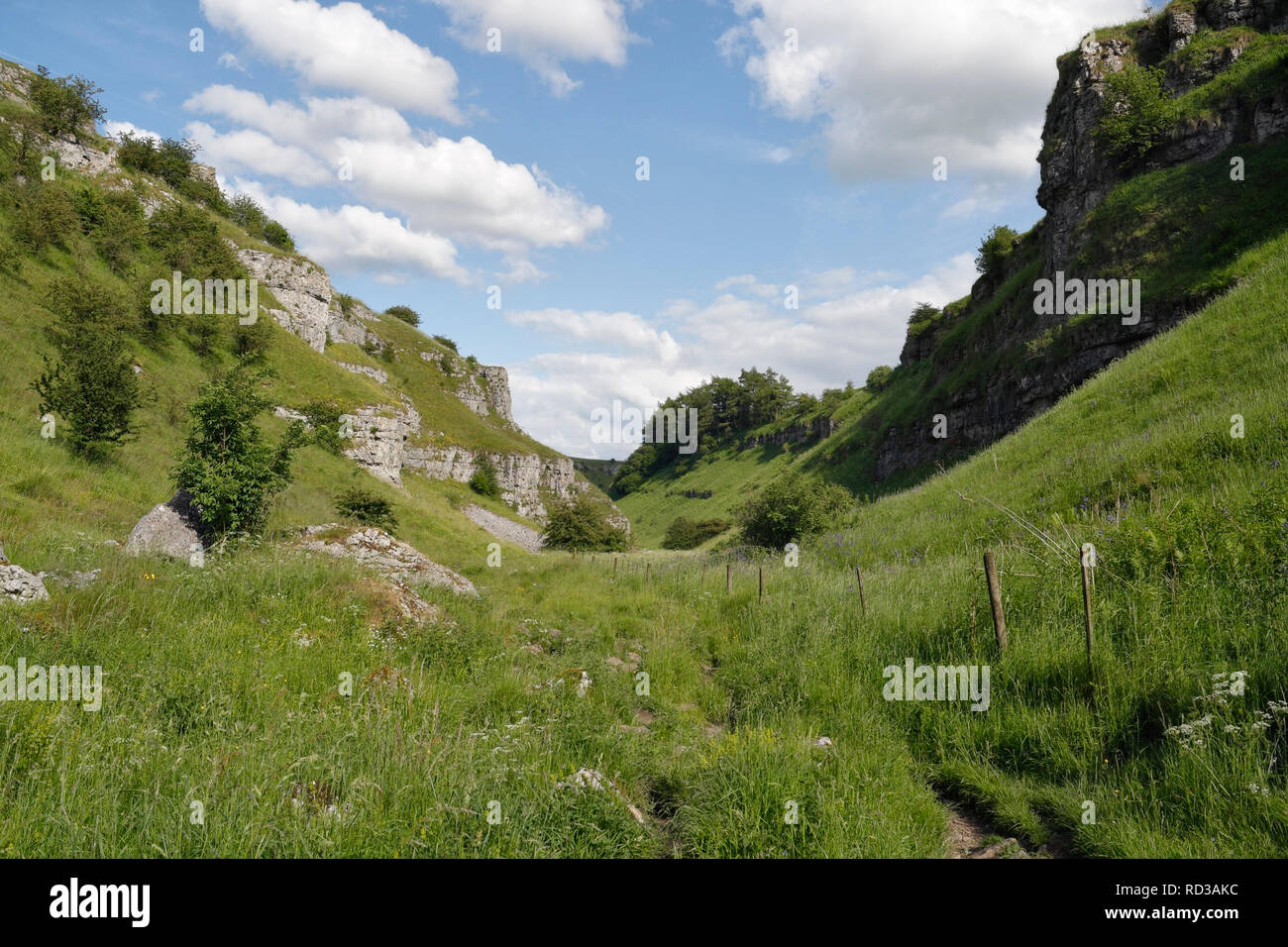 Lathkill Dale, Derbyshire Peak District parc national Angleterre Royaume-Uni, paysage pittoresque campagne anglaise, vallée de calcaire sec Banque D'Images