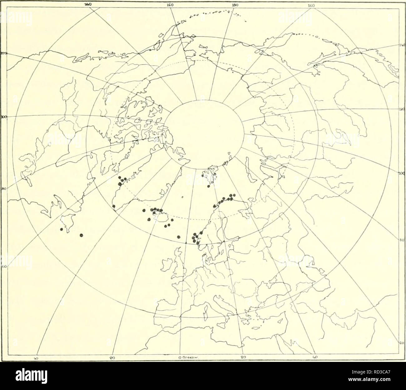 . L'Ingolf danois-expédition. Les animaux marins -- les régions de l'Arctique ; les expéditions scientifiques ; les régions de l'Arctique. ASCIDIACEA 11766°35' N. alors^^S' W., 572 m ( + 3,9° C.) ; vor Sukkertoppen, 65°j6' N. 55°O5' W., 650 m ( + 3,6° C.) ; u. 65°j4' N 55°42' O., 756 {m  +3,5 °C.) ("riigolf Kiistenbank") ; vor Sukkertoppen, 65°o6'N. 54°J9'O., 79 m ("Tjalfe"). Danmark Strasse : 65°28'N. 27°39'O., 810 m ( +5-5° C.) (.ilngolf*). Nordkiiste Skagastrand Island : :, 72-108 m (neue propriete) ; Kiistenbank Xordisland vor : 66°33'N. 2o°05'W., 79 m (-f 5,6° C.) (i)Ingolf"). - Ostkiiste : 7-8 Meil. n. 6. Borgar Fjord, 155 m (neue propriete Banque D'Images