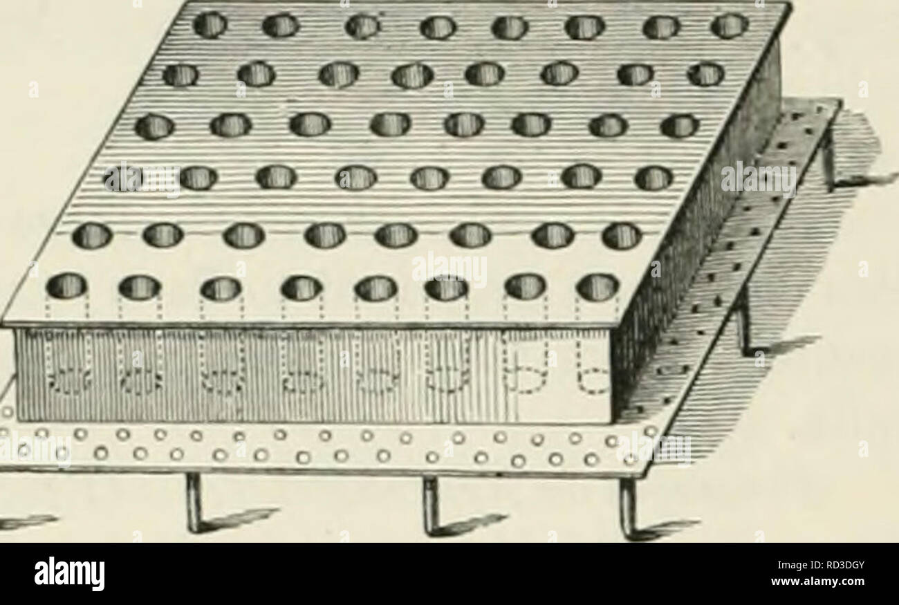 . L'industrie laitière : étant la théorie, la pratique, et les méthodes de l'industrie laitière. Les fermes laitières ; les usines laitières ; lait plantes. 514 L'ÉLEVAGE LAITIER. dur. Le caillé est prélevé en chiffons et hung uj) pour le lactosérum s'écouler. Par la suite, c'est j)ut entre deux conseils ou obstacles et wei&lt;jhted à cette fin l'effet encore plus complètement. Le caillé est maintenant roulés dans une forme cylindrique et enveloppés dans le papier ; de plus grandes quantités sont, cependant, beaucoup mieux faite avec l'appareil sliown en Fig. 330.. fc L- Fig. 330. Alors que le petit piston en bois- Rouleaux de papier sont classés dans les petits cylindres d'étain, le caillé est fdled Banque D'Images