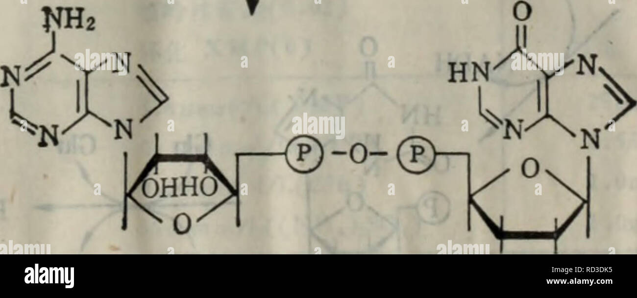 Oh Ji Ho Banque D Image Et Photos Alamy
