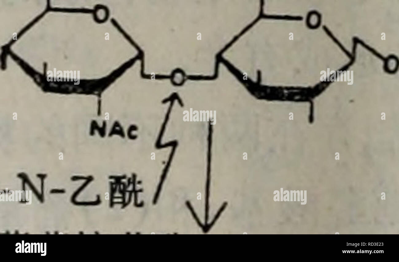 Dai Xie Tang Dan Bai Yu Dan Bai Ju Tang Jie Gou Gong Neng Il Dai Xie Botanique E Aec E E E µ Ec N C E E E Mjfoh Cooh Etc