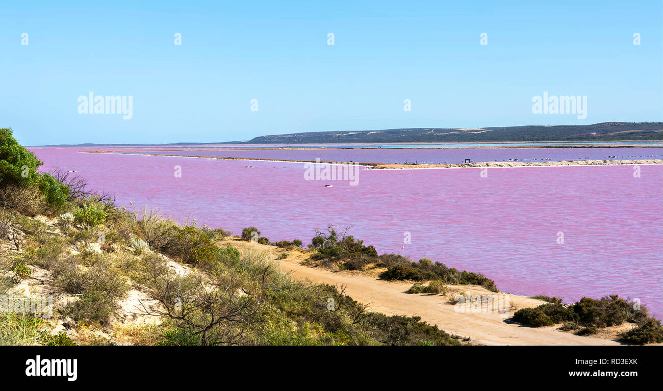 Hutt Lagoon, Western Australia, Australia Banque D'Images