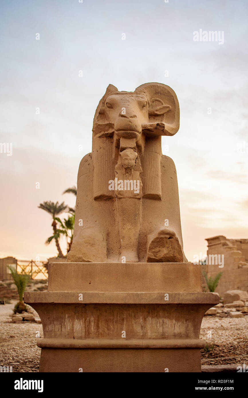 Sphinx à tête Ram Temple de Karnak en Afrique Banque D'Images