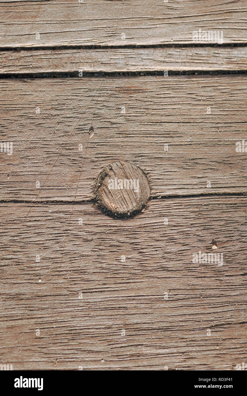 Close up de cheville en bois d'articulation de cheville en decking en bois. Banque D'Images