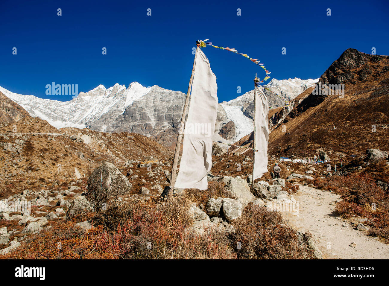 Les drapeaux de prières dans les montagnes, Langtang, Népal Banque D'Images