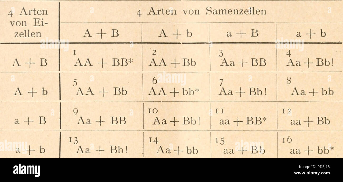 . Das werden der organismen zur widerlegung Darwins von zufallstheorie durch das Gesetz in der Entwicklung. L'évolution ; la vie. 88 Drittes Chapitre. Kombinationsschema Dihybriden für. F-génération.. Bei Durchmusterung des schemas lassen sich die i6 4400- nationen dans 4 Hauptgruppen nach dem Zahlenverhältnis 9:3:3 : j'anordnen. Es zeigen nämlich Individuen nämlich 9 (i, 2, 3, 4, 5, 7, 9, 10, 13) die beiden dominanten Merkmale und UN B und sich gleichen daher in ihrer äußeren Erscheinung, wenn Sie auch in Bezug auf die übrigen Gene zum Teil innerlich voneinander verschieden sind und bei fortgesetzter Banque D'Images