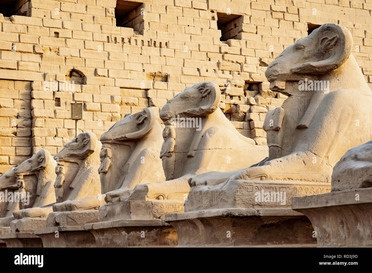 La mémoire RAM des statues dans l'avant du Temple de Karnak, Louxor, Egypte Banque D'Images