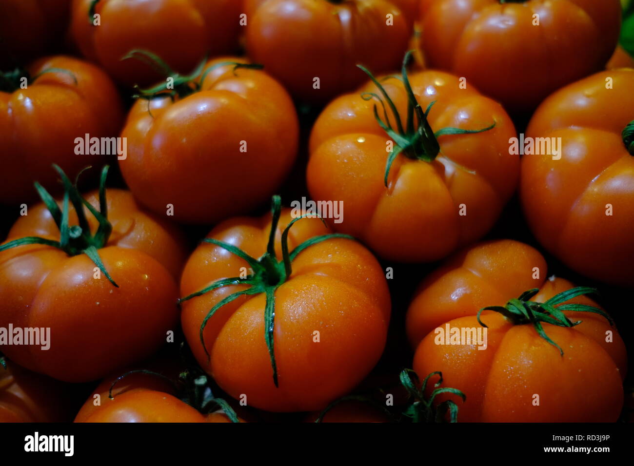 Close-up de tomates Banque D'Images