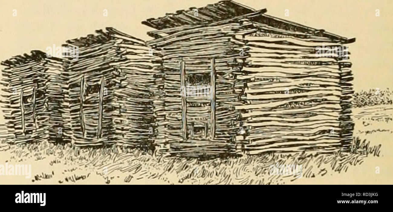 . Cyclopedia de cultures agricoles. Produits agricoles ; l'Agriculture. Maïs Maïs Maïs 414 charbon nu (Ustilago) zcm n un certain préjudice à presque chaque champ de blé. Elle réduit le nombre total annuel de la production de maïs des États-Unis par peut-être 2  %, ou, en d'autres termes, dans le réduit, sont issus de nos fermes vingt millions de dollars chaque année. Traitement de la semence, c'est d'aucune utilité. Les grappes de spores brunes ou noires qui se forment dans d'énormes masses sur difl^érentes parties du plant de maïs contiennent des millions de spores qui n'affectent pas les autres plantes directement, mais qui entraînent le champignon passe l'hiver et se développent dans le fumier en décomposition ou Banque D'Images