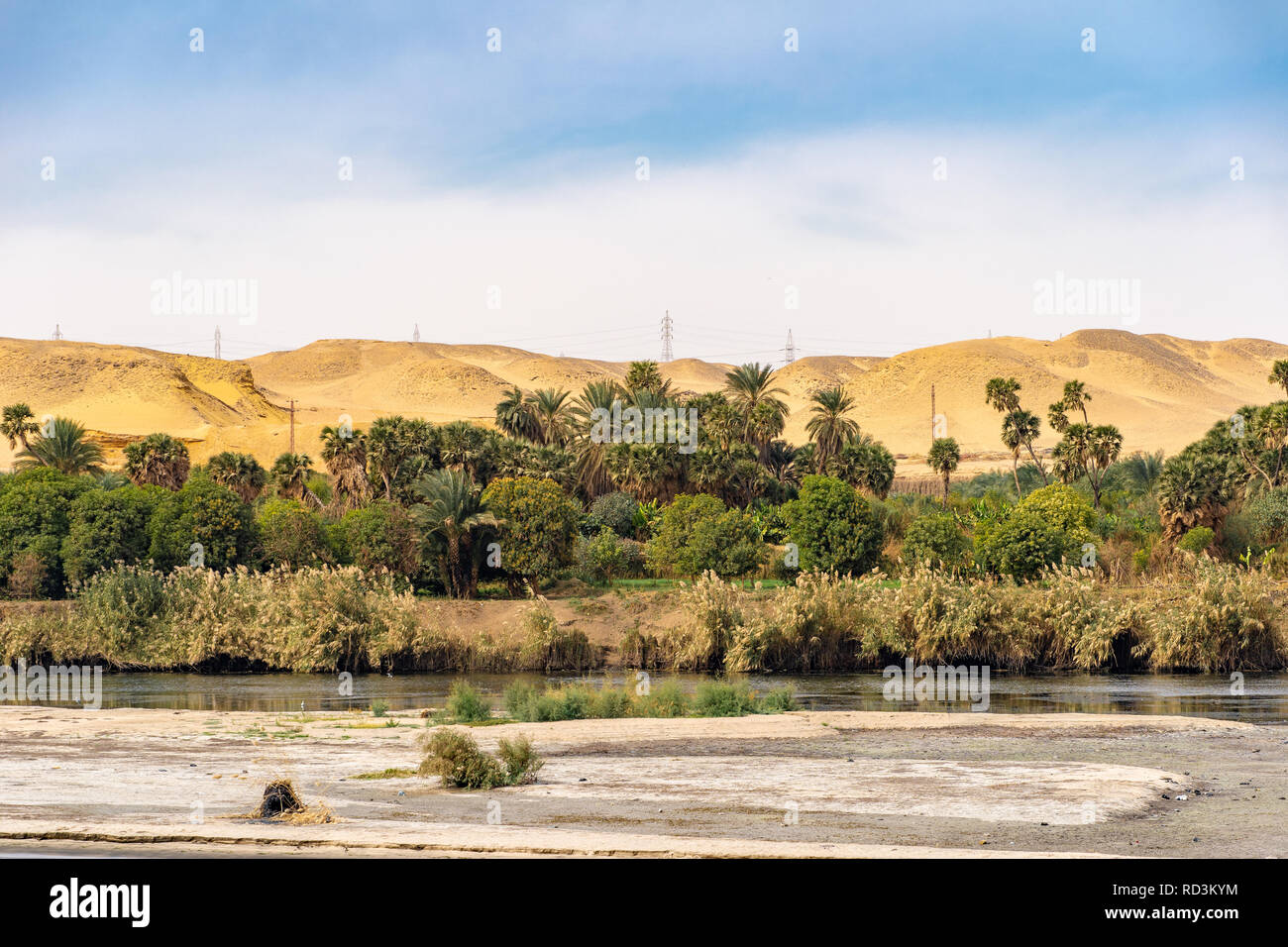 Palmiers et de verdure sur les rives du Nil en Egypte Banque D'Images