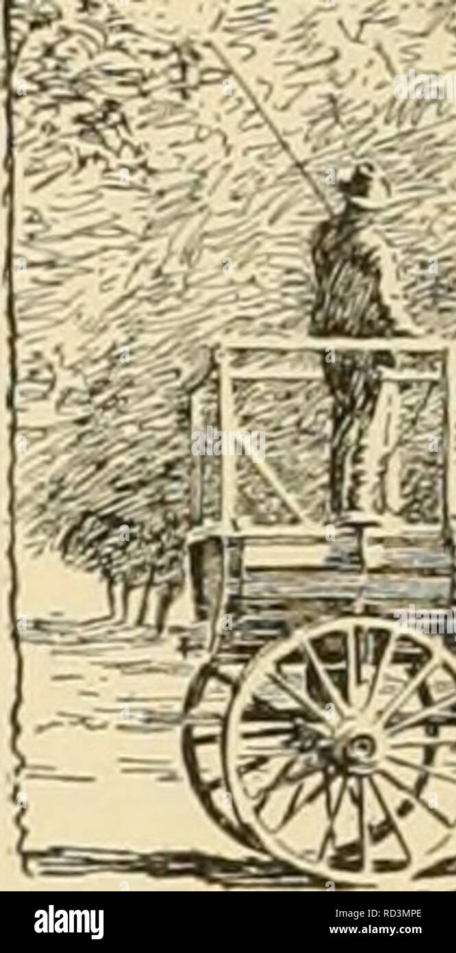 . Cyclopedia de cultures agricoles. Produits agricoles ; l'Agriculture. '' 7 ^^^* C. -&gt;â '^^* F 6 Deux ho se vaporiser ne pour mach g singes de l'eau ou la bouillie bordelaise, pour la pulvérisation des vergers de pommes de terre ; pour les coléoptères, doubler la dose de poison. Plus de 2 000 tonnes de Paris vert sont maintenant utilisés annuellement en Amérique du Nord contre les insectes nuisibles. C'est la pulvérisation poison standard, et est utilisé à raison de 1 livre de 100 gallons sur les vergers, à l'exception de prune et de pêche, où seulement la moitié de cette quantité est sans danger sur les pommes de terre ; il est utilisé au moins deux fois plus fort. L'arsénite de cuivre ou de l'arséniate vert est simi- lar à Paris vert. WW Banque D'Images