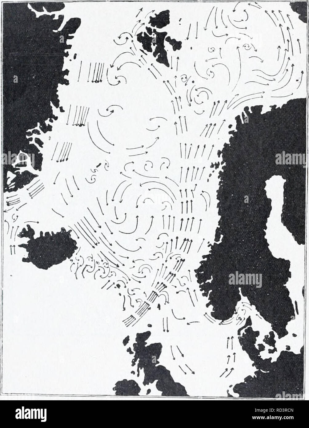 . L'Ingolf danois-expédition. Les animaux marins -- les régions de l'Arctique ; les expéditions scientifiques ; les régions de l'Arctique. HVDROIDA 186 II est composée d'une ceinture plus ou moins large, et comme les ceintures et les zones mixtes peuvent atteindre dans des circonstances spéciales, bien que relativement à d'autres endroits qu'ils peuvent être très étroit. Nous devons aussi nous rappeler que la forêt boréale reg^ion dans lui-même est la zone mixte par excellence, et n'a pratiquement pas une seule espèce à elle-même, ce qui rend plus difficile encore la sa)- quel pourcentage de mélange doit être pris comme limitant l'utilisation des zones mixtes, l'boreo-arctique et le boreo- Banque D'Images