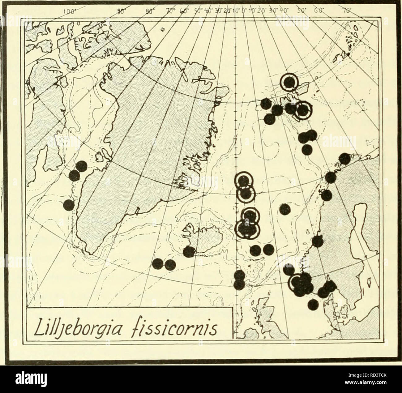 . L'Ingolf danois-expédition. Les animaux marins -- les régions de l'Arctique ; les expéditions scientifiques ; les régions de l'Arctique. 224 CRUSTACÉS MALACOSTRACÉS. VII. la nouvelle Îles de Sibérie (Briiggen 1907), et de l'Storfjord, Spitsbergen (VA 1866, pi. 40 fig. 27). Dans le modèle de S. de Jan Mayen, 885 m., la dent est un peu plus grand que généralement. La distribution (graphique 39). L'espèce est largement répandue ; sur le "Ingolf"-salon, voir ci-dessus.- N. des nouvelles îles de Sibérie 77°201/2' N., i38°47' E., 38 m d'argile (Briiggen- 1909, p. 23). - - Les eaux du Spitzberg ronde : 8i°2o' N., 190 E., 1000 m. (Schel Banque D'Images