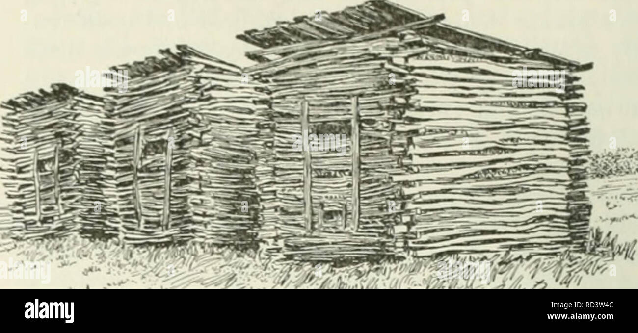. Cyclopedia de cultures agricoles : une étude des cultures populaires et des méthodes de récolte aux États-Unis et au Canada. Agriculture -- Canada, Agriculture -- United States ; produits de la ferme -- Canada ; produits de la ferme -- United States. Maïs Maïs Maïs 414 {tilago j'scharbon zea :) n un certain préjudice à presque chaque champ de blé. Elle réduit le nombre total annuel de la production de maïs des États-Unis par i)erhaps 2  %, ou, en d'autres termes, dans le réduit, sont issus de nos fermes vingt millions de dollars chaque année. Traitement de la semence, c'est d'aucune utilité. Les grappes de spores brunes ou noires qui se forment dans d'énormes masses sur différents par Banque D'Images