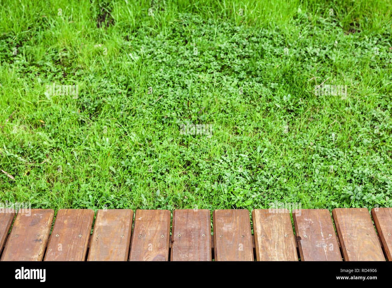 Table en bois sur la pelouse avec de l'herbe bien verte, parc naturel de fond. Photo en gros plan avec selective focus Banque D'Images