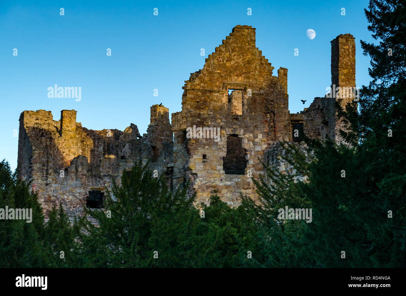 Château de Dirleton, East Lothian, Ecosse, Royaume-Uni, 17 janvier 2019. Météo France : un ciel clair au coucher du soleil sur les ruines du château médiéval. Une lune croissante est lumineux dans le ciel sans nuages Banque D'Images