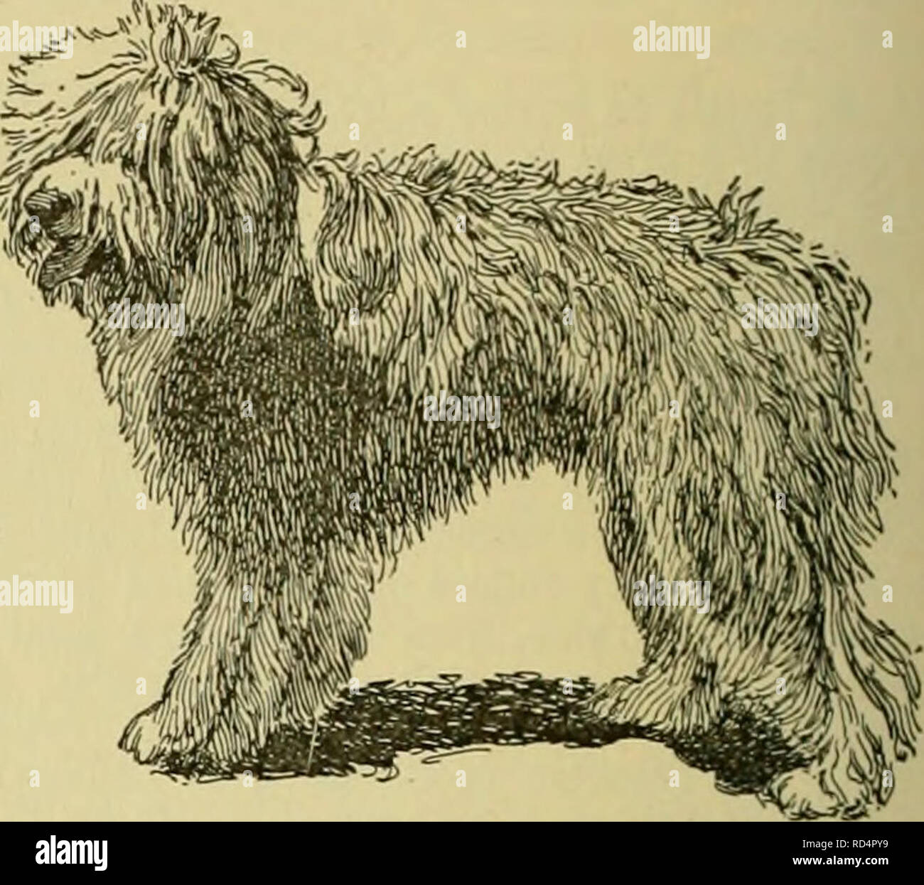 Cyclopedia Des Animaux De Ferme Les Animaux Et Produits Du