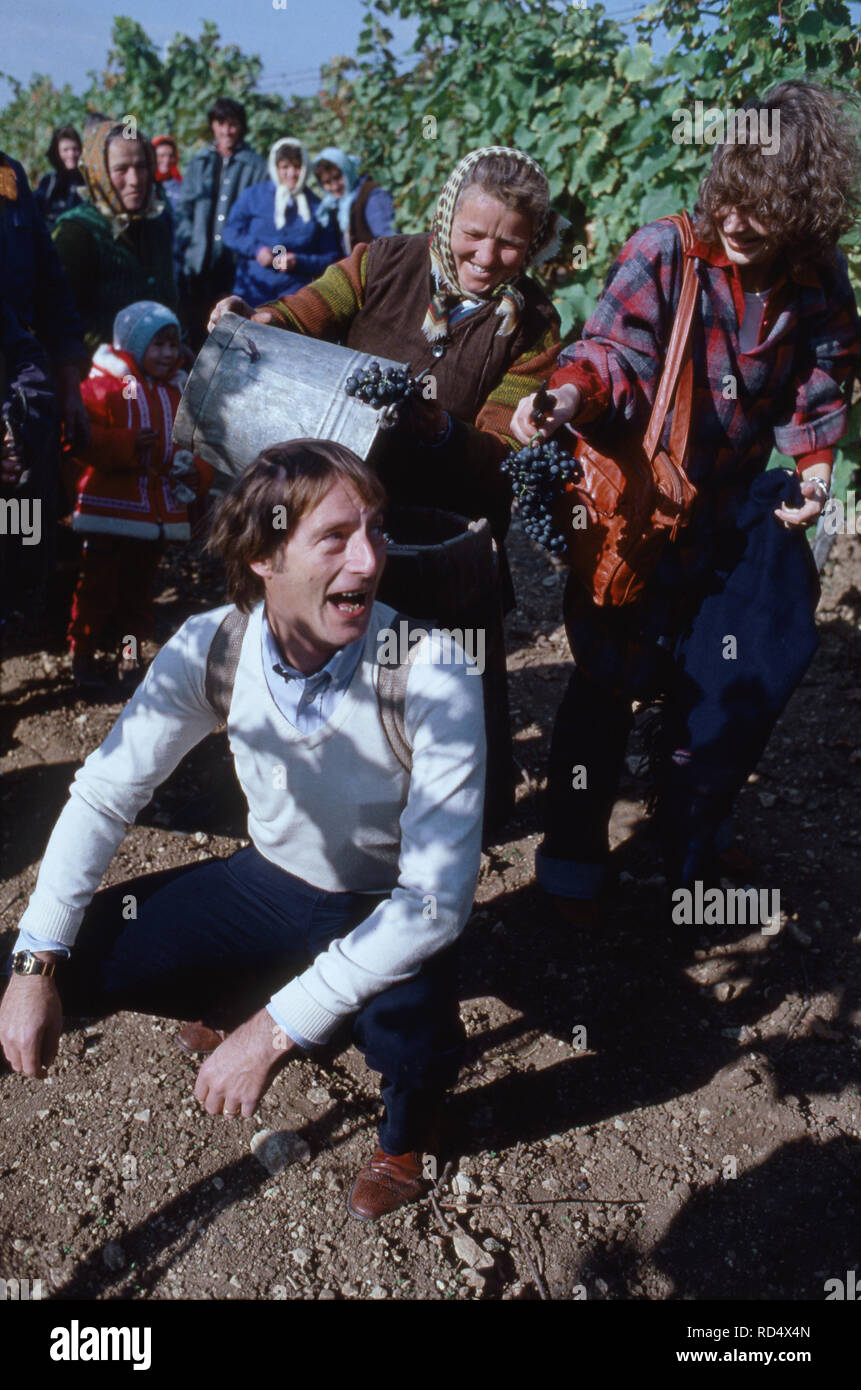Michael Prinz von und Preußen Ehefrau Jutta helfen bei der Wein 20 im Anbaugebiet Tokaj, Hongrie 1978. Michael Prince de Prusse et son épouse Jutta contribuer à la récolte du raisin à Tokaj, Hongrie 1978. Banque D'Images