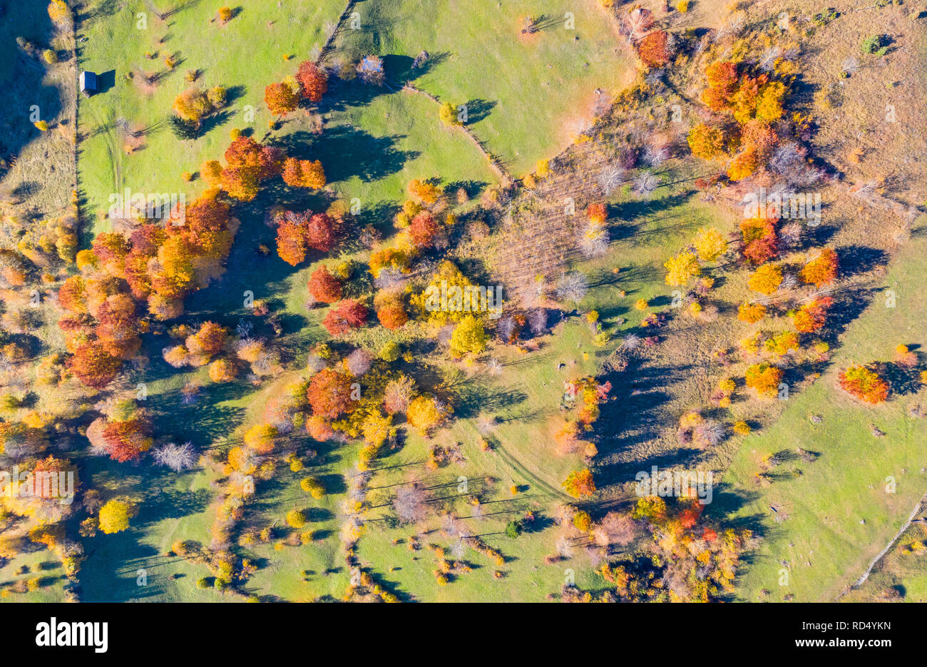 Drone voir d'un beau vert prairie avec feuillage coloré Banque D'Images