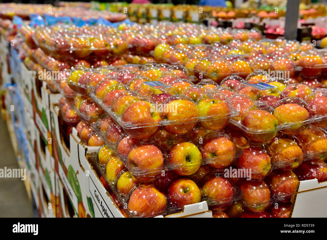 Des boîtes de pommes dans l'emballage en plastique pour éviter les meurtrissures et le gaspillage alimentaire Banque D'Images