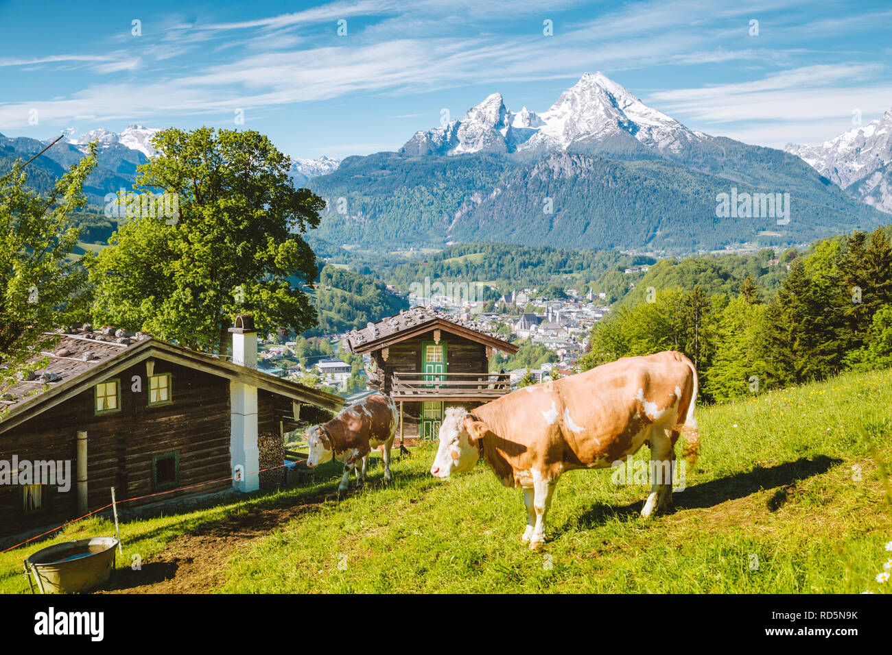 Belle vue panoramique sur un paysage alpin idyllique avec chalets de montagne traditionnels et des vaches paissant sur des prairies vertes sur une belle journée ensoleillée avec bl Banque D'Images