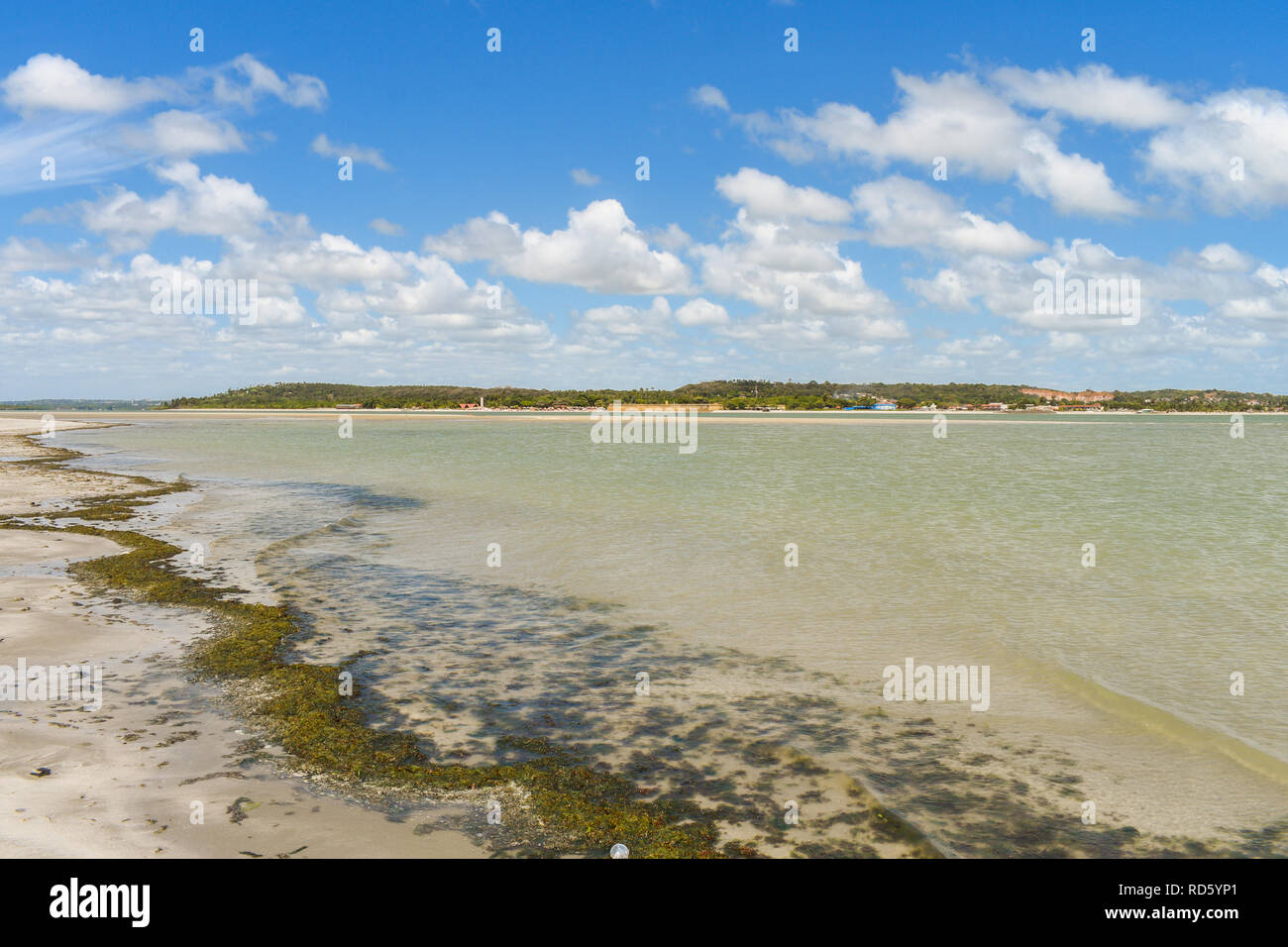 Les algues et les eaux peu profondes sur l'îlot de Coroa do Aviao - Igarassu, Pernambuco, Brésil Banque D'Images