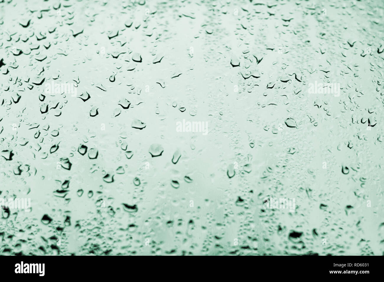 Un contraste élevé photo de gouttes de pluie sur une vitre de la fenêtre avec la lumière de couleur vert pâle teal Banque D'Images