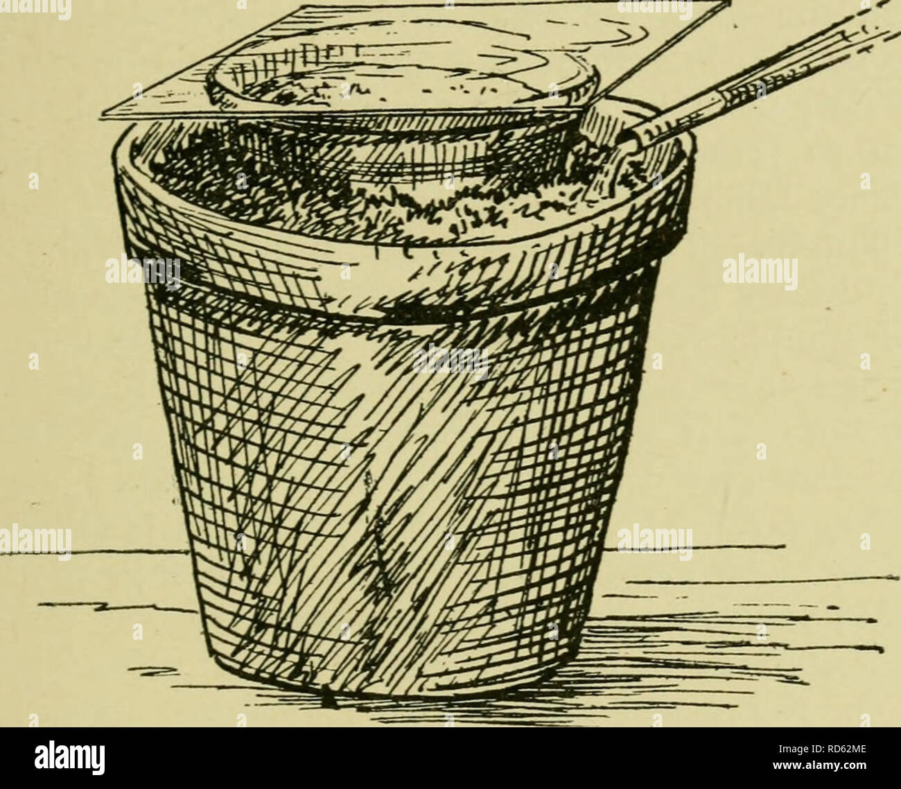 . La culture de plantes en pot dans les chambres, serres, &AMP ; châssis. Plantes, plantes en pot, récipient jardiner. En tant qu'ANNUELLES PLANTES EN POT 29 Si les annuelles sont à produire une succession de fleurs, les semences doivent être semées à intervalles réguliers à partir du début de mars à la fin du mois d'août. Le sol en haut devrait être bon, doux, et ferme, mais pas dur. Les racines des jeunes plants ne peut pas pénétrer le sol est dur, et, sauf s'ils sont capables de le faire les plantes seront rabougris. D'où l'importation de sable sharp pour rendre l'ensemble du milieu poreux. Si, cependant,. Fig. 12.-pot de graines contenant coulé dans un plus gros partiellement rempli w Banque D'Images