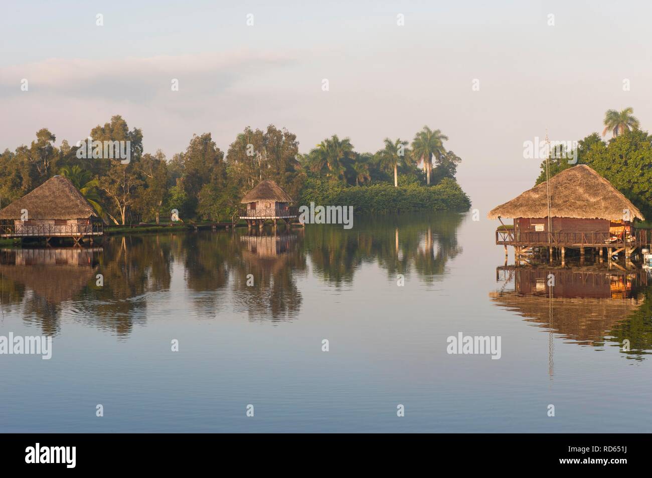 Laguna del Tesoro, Treasure Lagoon, palmiers et de cabanes en bois, péninsule de Zapata, Cuba, l'Amérique centrale Banque D'Images