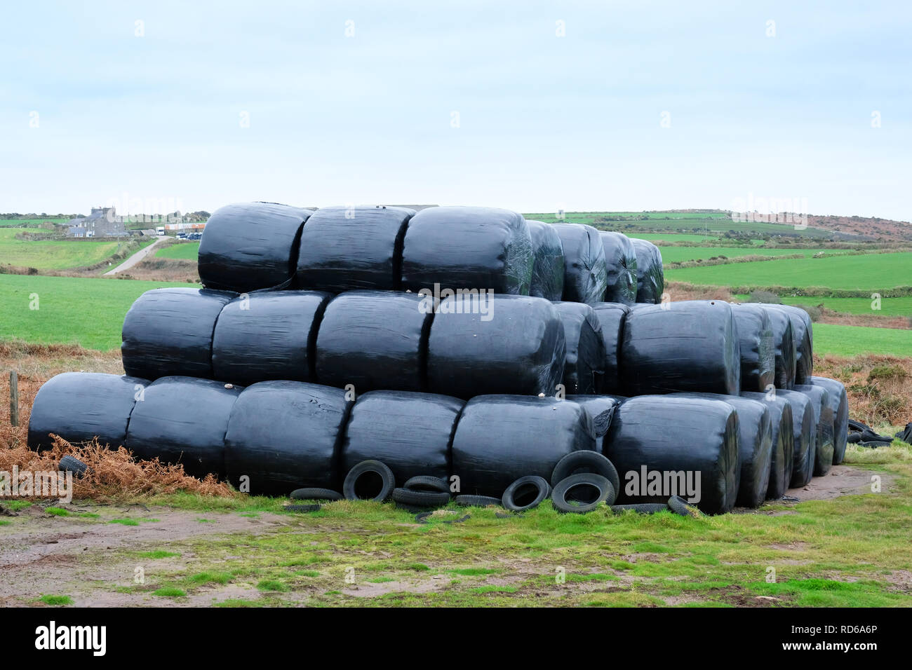 Tas d'ensilage enrubannées noir, Cornwall, UK - John Gollop Banque D'Images